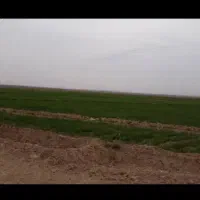 زمین کشاورزی