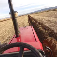 خدمات کشاورزی با تراکتور 475