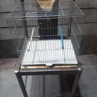قفس پرنده