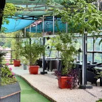 استخدام خدماتی در هتل شمال(با خوابگاه و۳وعده غذا)|استخدام سرایداری و نظافت|فردیس, فردیس|دیوار