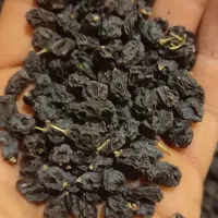 مویز|خوردنی و آشامیدنی|نیشابور, شریعتی|دیوار