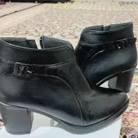 نیم پوتین تازه ونو