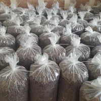 کشمش با کیفیت ممتاز|خوردنی و آشامیدنی|لاهیجان, کوی آزادگان|دیوار