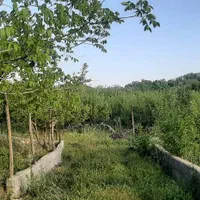 فروش زمین مسکونی