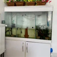 آکواریوم کامل شرکتی