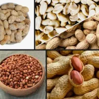 استخدام بازاریاب و ویزیتور