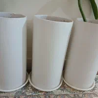 ۷عددگلدون سرامیکی فروش فوری