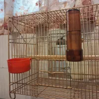 قفس کاملا تمیزو سالم با سینی فلزی