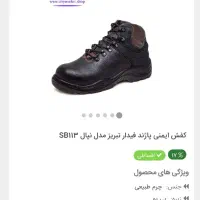 کفش ایمنی استاندارد|کیف، کفش، کمربند|ارومیه, |دیوار