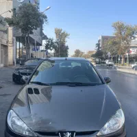 ۲۰۶ صندوقدار / وی ۸ آرین / تک برگ