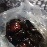 فروش خرما کبکاب