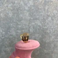 انگشتر بدوناجرت