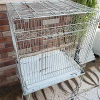قفس بزرگ فلزی|لوازم جانبی حیوانات|رباطکریم, رباطکریم|دیوار