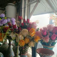 گل مصنوعی|گل مصنوعی|شاندیز, |دیوار