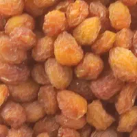 فروش ویژه آلو بخاراگردو کشمش|خوردنی و آشامیدنی|شیراز, نصر|دیوار