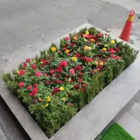 خدمات باغبانی در سراسر تهران