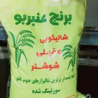 برنج عمبربو عقیلی