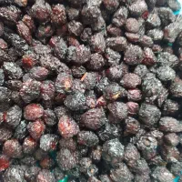 گیلاس خشک تازه امسال|خوردنی و آشامیدنی|بوکان, |دیوار