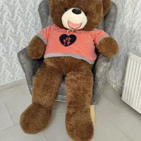 خرس بزرگ شاسخین