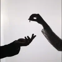 عکاسی و طراحی کارت ویزیت