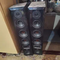 باند. فلش خور