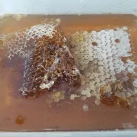 ژل رویال|خوردنی و آشامیدنی|قم, بلوار امین و ساحلی|دیوار