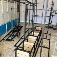 رگال|فروشگاه و مغازه|اندیمشک, |دیوار