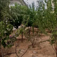 باغچه ویلا۳۵۰ متر سه کنتور اصلی شخصی دماوند|فروش خانه و ویلا|دماوند, گیلاوند|دیوار