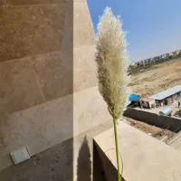 گل طبیعی|گل و گیاه طبیعی|شیراز, احمدآباد|دیوار