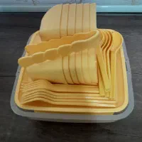 ظروف پیک نیک
