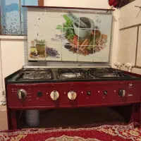 گاز پنج شعله زمینی