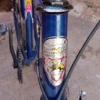 دوچرخه سند دار آساک دماوند|دوچرخه، اسکیت، اسکوتر|تربت جام, جامی|دیوار