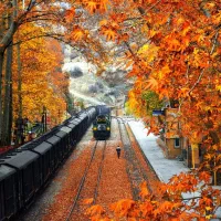 جابه‌جایی معلم تهران کوهدشت