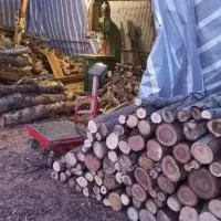 خریدار چوب تر و خشک