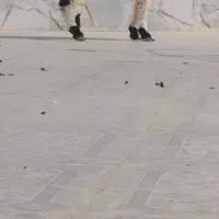 برهنر|حیوانات مزرعه|هامون, |دیوار