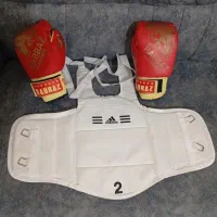 هوگو و دستکش بوکس