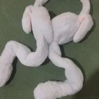 گوش گیر|لباس|بجنورد, |دیوار