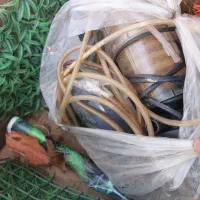 اکواریوم|ماهی|ملکان, |دیوار