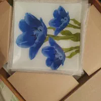 ظرف میوه خوری شیشه ای|ظروف سرو و پذیرایی|سمنان, |دیوار