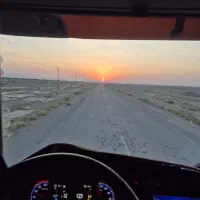 نیازمند همکار