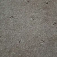 پالاز موکت