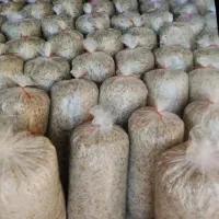 توفاله چغندر خشک