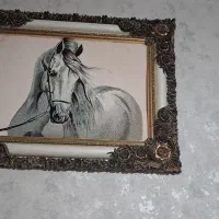 تابلو اسب زیبا فوری