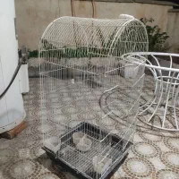 قفس کاسکویی بزرگ