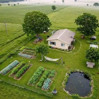 واحد۵۵ متری به شرط کار واگذار می شود