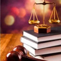 وکیل و کار دادگاهی