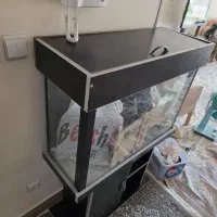 آکواریوم در حد نو|ماهی|اصفهان, سرتاوه|دیوار