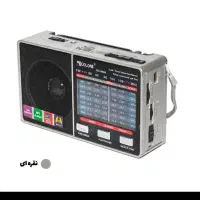 رادیو اسپیکر گولون