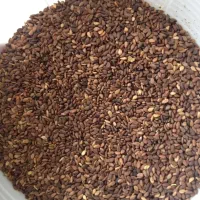 انواع لوبیا و حبوبات|خوردنی و آشامیدنی|ایلام, |دیوار