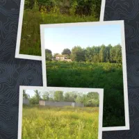 زمین مسکونی و باغی با شرایط فوق العاده|فروش زمین و ملک کلنگی|صومعه‌سرا, |دیوار